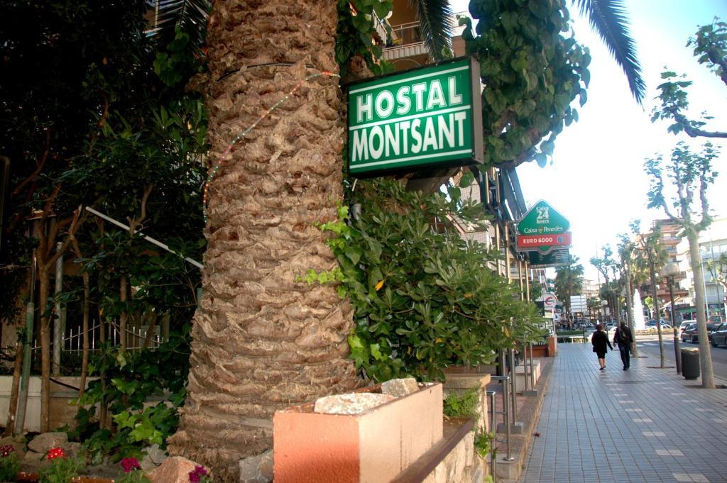Montsant Casa de hóspedes